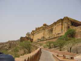Julie feeding monkeys