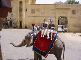 Monkey takes pig for a ride