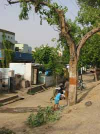 a water pump at a tree