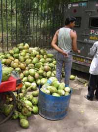 Coconut water for sale