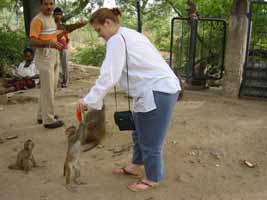 Julie feeding monkeys